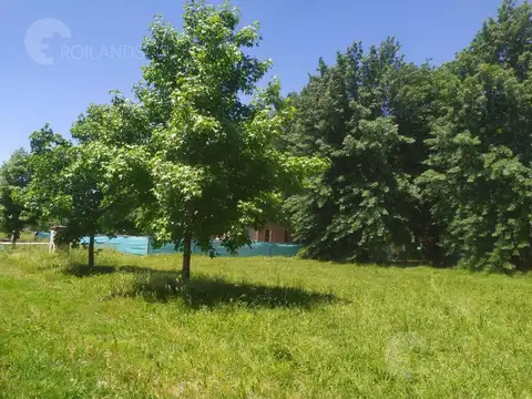 Estancia Villa maria, Estancia Villa María, Carlos Spegazzini