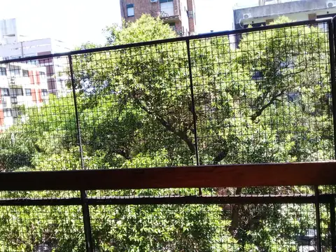 Albarellos 1000, Piso 4