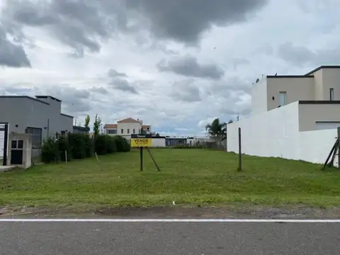 Rodriguez y La Taba