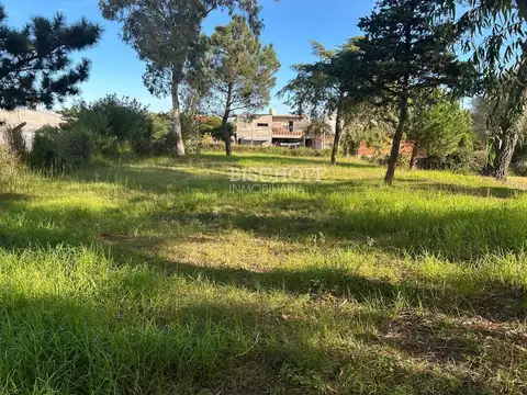 PASEO 119 ENTRE AVENIDAS 13 Y 14