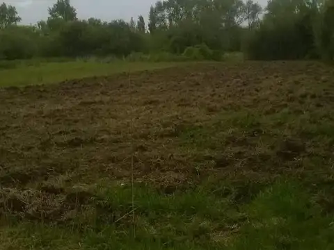 15 e/ 97 y 98