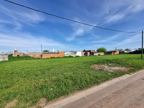 Cortada Carlino al 800