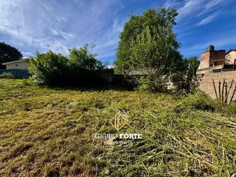 Los Alamos 45