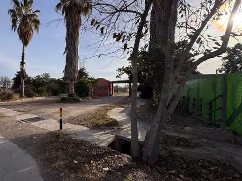 La Colonia 100