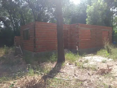 Manuel Curto y Los Aromos