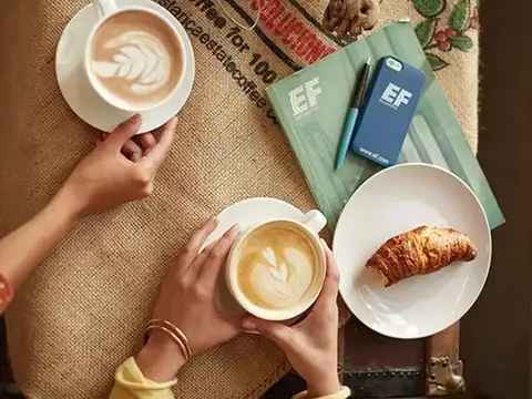 BAR CAFETERIA Y VS TOTALMENTE INSTALADO