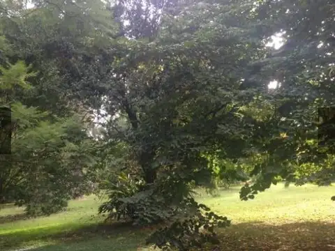 Terreno en venta - 7650mts2 - Ituzaingo