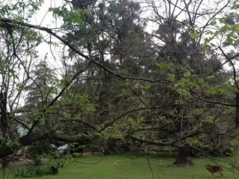 Terreno en Venta de 7650,0 m2