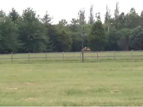 Terreno en Venta 10  mts Frente