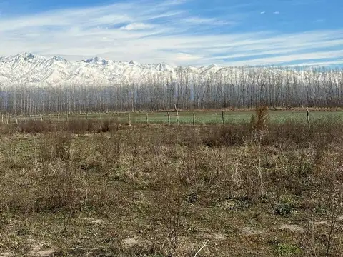 TERRENO EN VENTA 2000MTS VISTA FLORES TUNUYAN