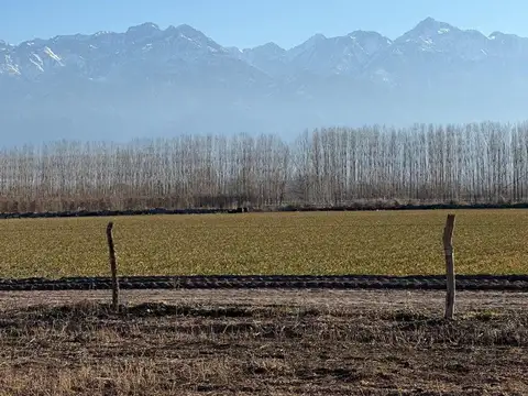 TERRENO EN VENTA 2000MTS VISTA FLORES TUNUYAN