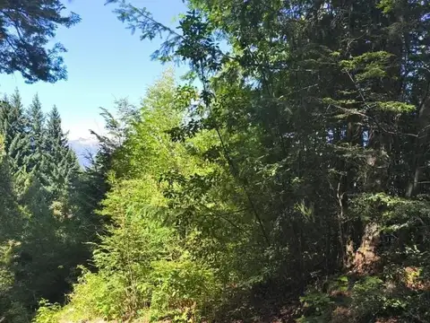 Terreno en Venta de 1617,0 m2