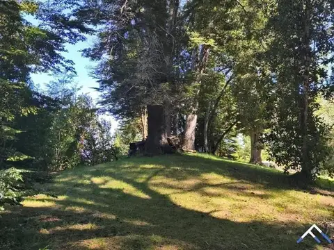 Lote con vista a lago y cordillera (cód. 202)