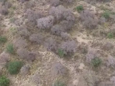 Terreno en Venta en Cortaderas, USD 30.000