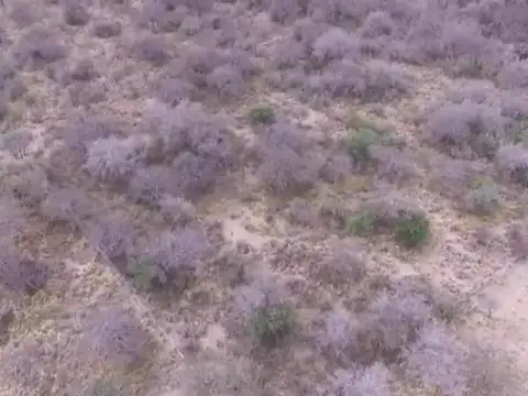 Terreno en Venta de 2329,0 m2