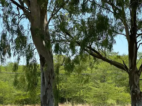 Terreno en Venta de 325,0 m2