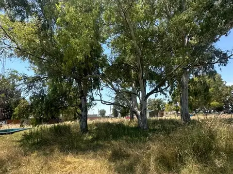Terreno en Venta de 325,0 m2