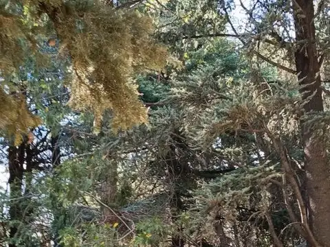 Terreno en Venta de 4870,0 m2