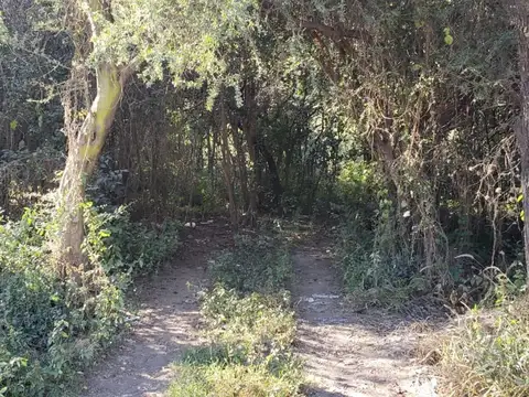 Terreno en Venta 26  mts Fondo