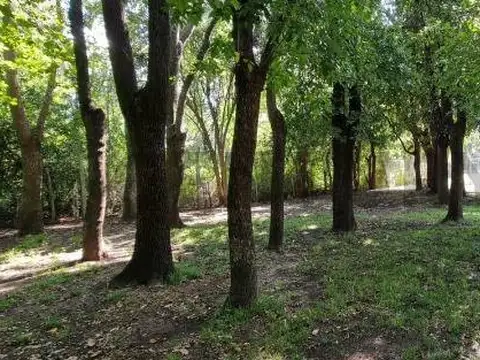 Terreno en Venta 15  mts Frente