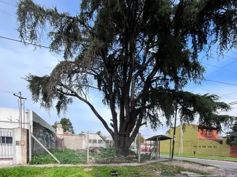 Excelente lote en Llavallol