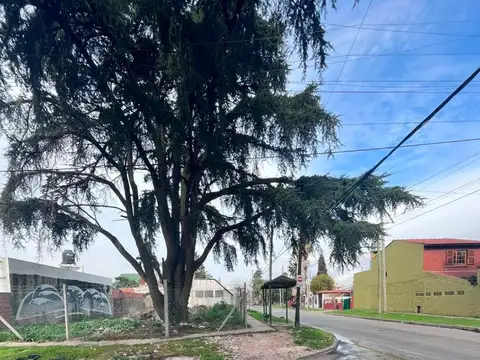 Terreno en Venta de 227,0 m2