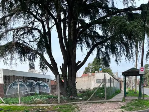 Terreno en Venta de 227,0 m2