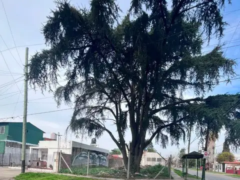 Excelente lote en Almirante Brown