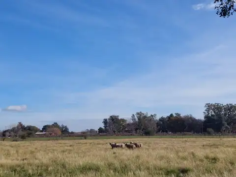 Campo en Venta de 7,50  ha