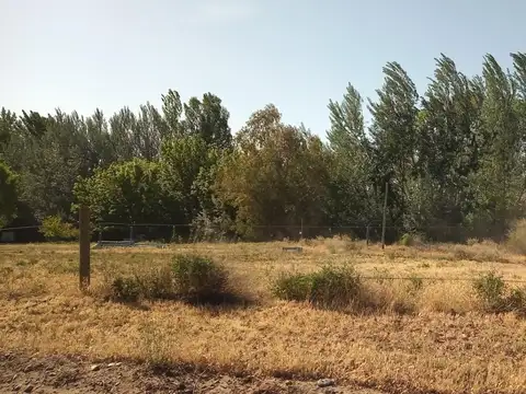 Terreno en Venta en Plottier, USD 50.000