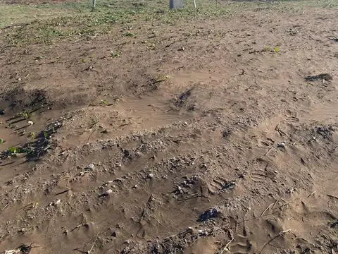 Terreno en Venta de 2000,0 m2