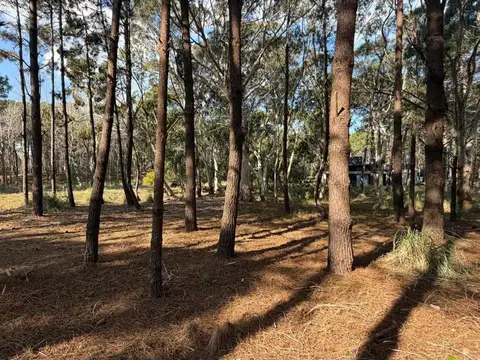 Terreno en Venta de 1047,0 m2