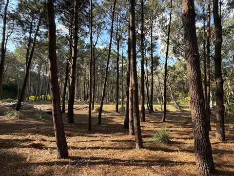 Terreno en Venta en Villarobles, USD 59.000
