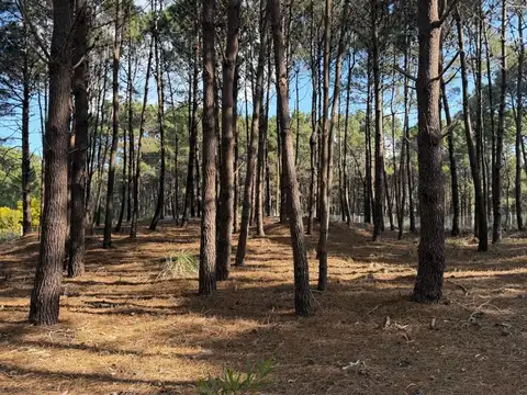 Terreno en Venta de 1047,0 m2