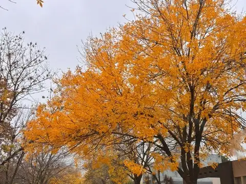 Casa en Alquiler en San Andres, USD 1.600