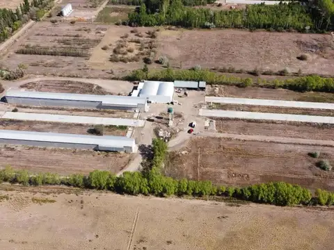 ALQUILER GAPON apto Industria, Allen