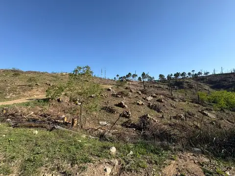  TERRENO VENTA  3000 M2 POTRERO DE GARAY FINANCIAD