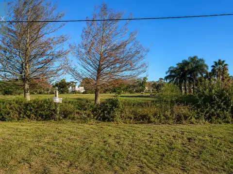 Nuevo Torino