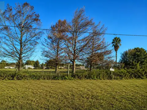 Lote de 550 m² en Nuevo Torino
