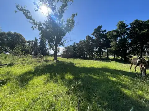 Ruta 26 S y José Perfundí