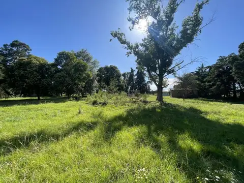 Terreno en Venta de 6117,0 m2