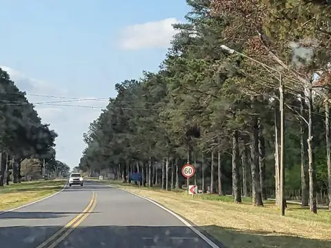 Ruta Provincial N 1