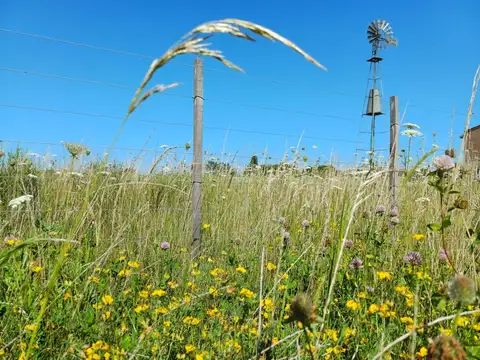 Terreno en Venta en Cucullu, USD 10.000