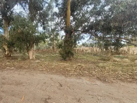 Terreno en Venta en Necochea, USD 5.500
