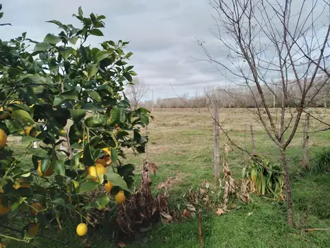 Quinta en Venta de 1 dormitorio