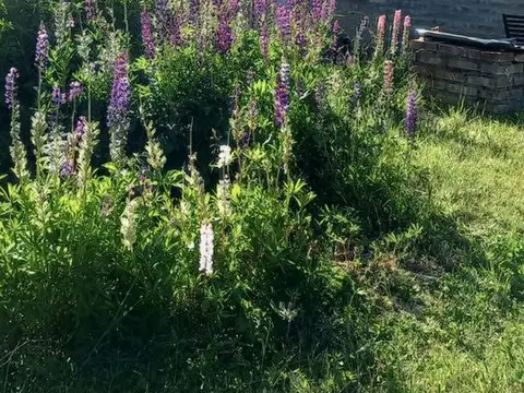 Casa en Venta de 1 dormitorio