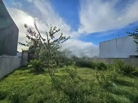 Calle 35 entre 140 y 141