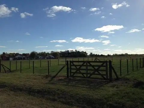 Cahuane 100