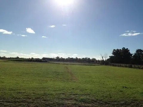 Terreno en Venta 25  mts Fondo