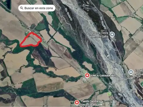 Rosario de Lerma. RP 103. 100